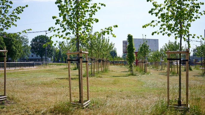 Zielona Łódź Zielona Łódź