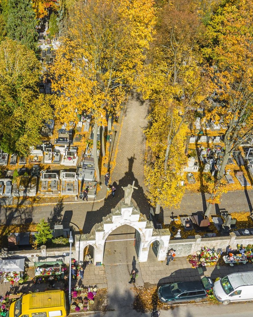 Fot. Stefan Brajter/UMŁ