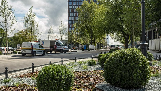 Setki nowych drzew i tysiące krzewów posadzimy na łódzkich ulicach, skwerach i w parkach - fot. Stefan Brajter / UMŁ