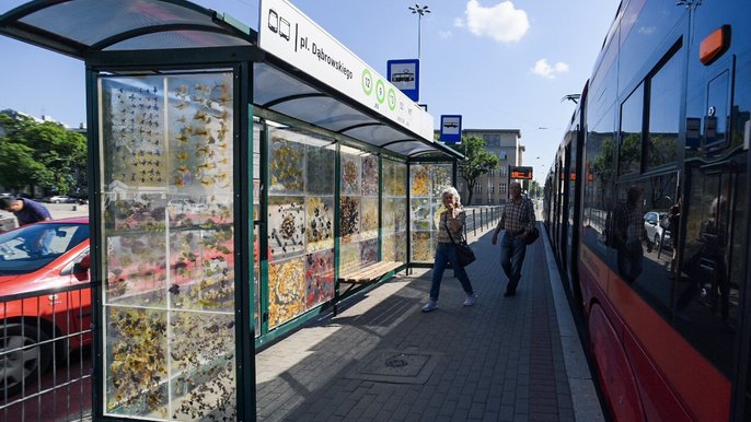Przystanek "Nostalgia". Oto wiata zbudowana z kwiatów zatopionych w bezbarwnej żywicy Przystanek "Nostalgia". Oto wiata zbudowana z kwiatów zatopionych w bezbarwnej żywicy - fot. Paweł Łacheta / UMŁ