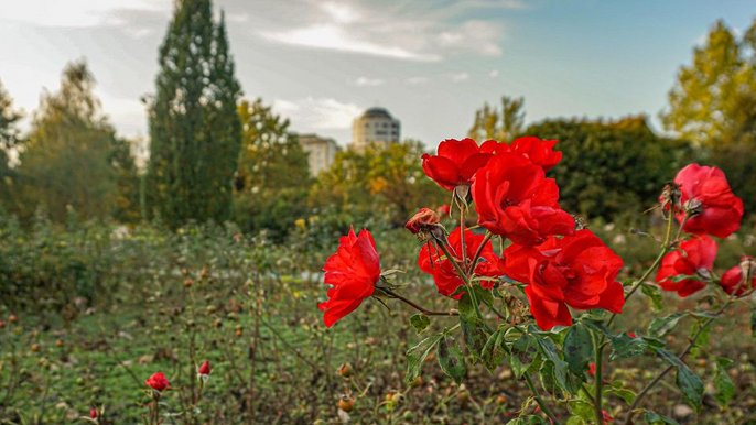  - fot. Archiwum UMŁ