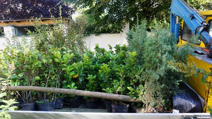 Trwają nasadzenia na osiedlu Montwiłła-Mireckiego 