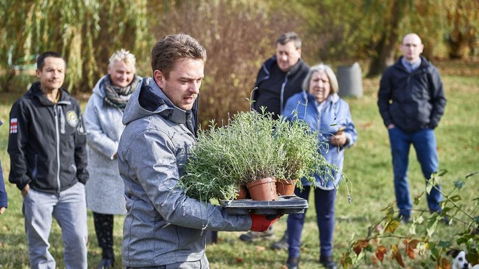 ogrody społeczne ogrody społeczne - mat. UMŁ