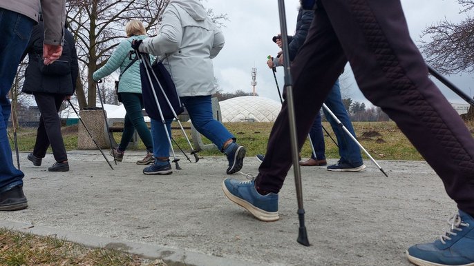 - fot. Oddział ds. Polityki Senioralnej