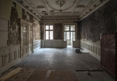 fot. Stefan Brajter / UMŁ