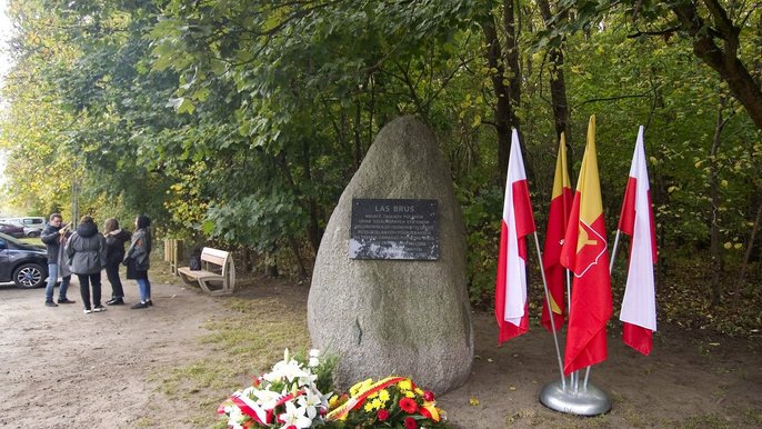 - Fot. Andrzej Janecki/UMŁ
