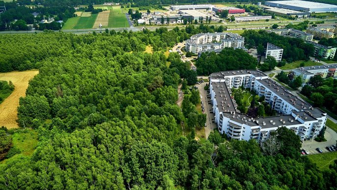 Park na Janowie powstanie na 60 hektarach terenu między ul. Rokicińską, Maćka z Bogdańca, Przybyszewskiego i szklarniami przy ul. Augustów. Park na Janowie powstanie na 60 hektarach terenu między ul. Rokicińską, Maćka z Bogdańca, Przybyszewskiego i szklarniami przy ul. Augustów. - fot. Radosław Jóźwiak